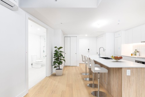 Cuisine - 1408-100 Rue Murray, Montréal (Le Sud-Ouest), QC - Indoor Photo Showing Kitchen With Upgraded Kitchen