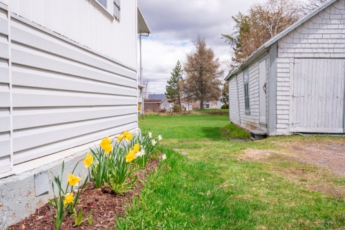 Extérieur - 138 Rue Principale, Saint-Pamphile, QC - Outdoor