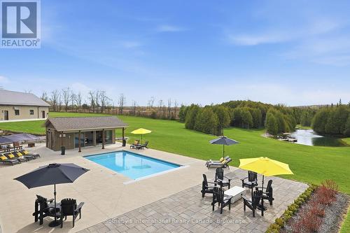 565332 Sideroad 7A, Grey Highlands, ON - Outdoor With In Ground Pool With Backyard