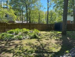 Perennial gardens - 