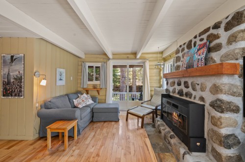 Salon - 1660 Rue Campeau, Val-David, QC - Indoor Photo Showing Living Room With Fireplace