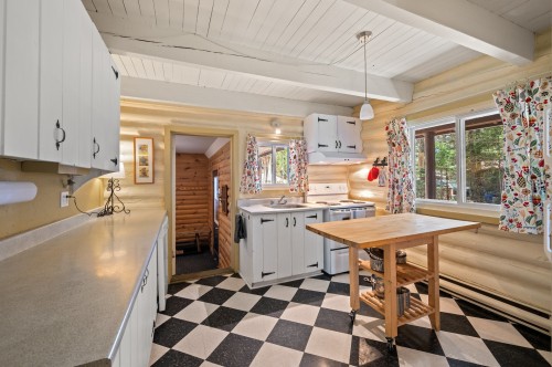 Cuisine - 1660 Rue Campeau, Val-David, QC - Indoor Photo Showing Kitchen