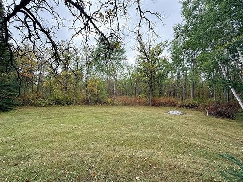 41056 Stead Rd, Gull Lake, MB 