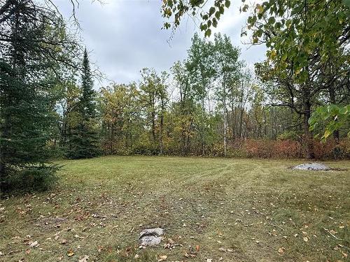 41056 Stead Rd, Gull Lake, MB 