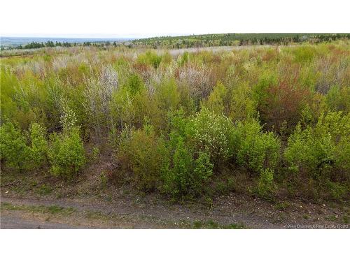 Lot 38 Davidson Rd, Anagance, NB 