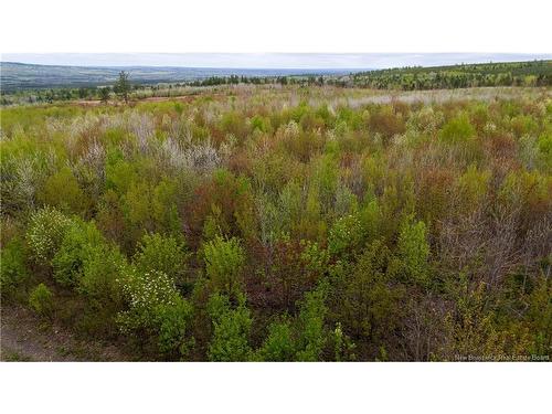 Lot 37 Davidson Rd, Anagance, NB 