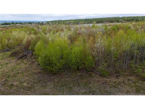 Lot 37 Davidson Rd, Anagance, NB 