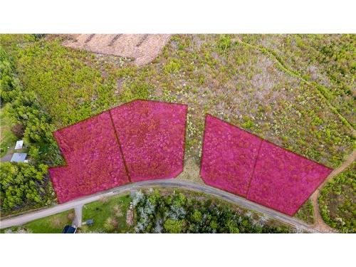 Lot 37 Davidson Rd, Anagance, NB 