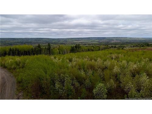 Lot 37 Davidson Rd, Anagance, NB 