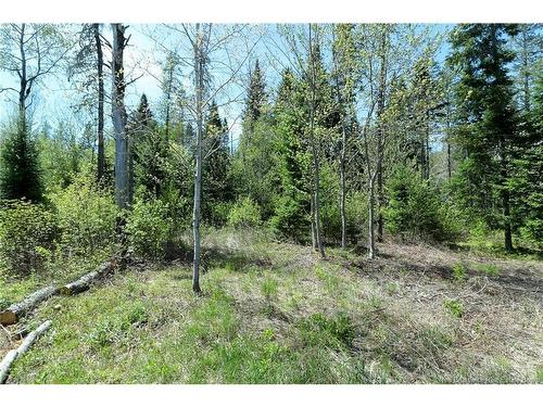 1539 Route 116, Chipman, NB 