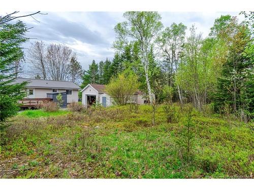 16 Armstrong Cres, St George, NB 