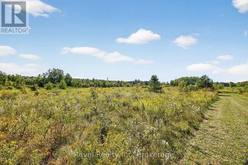 7190 93 Highway, Tiny, ON - Outdoor With View