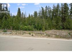 4301 69 Avenue NE Salmon Arm, BC V0E 1K0