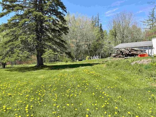 500 242 Highway, River Hebert, NS 