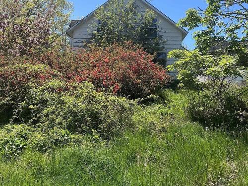 7017 Highway 1, Belleisle, NS 