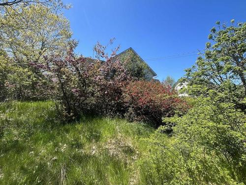 7017 Highway 1, Belleisle, NS 