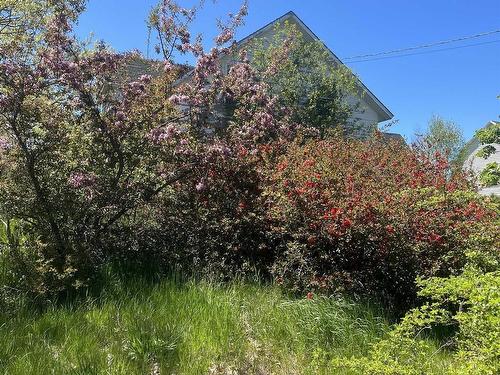 7017 Highway 1, Belleisle, NS 