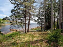 LOT NO 3 Highway East Chester, NS B0J 1J0