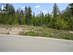 4411 69 Avenue NE Salmon Arm, BC V0E 1K0