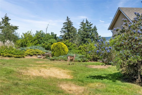 9921 Echo Hts, Chemainus, BC 