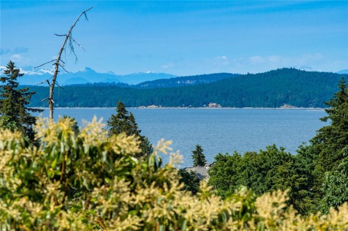 9921 Echo Hts, Chemainus, BC 