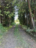 133272 ALLAN PARK ROAD West Grey, ON N4N 3B8