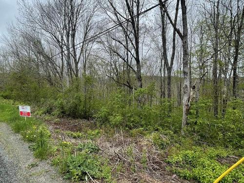 Acreage Brierly Brook Road, Antigonish, NS 