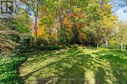 Professionally Landscaped with Irrigation System - 