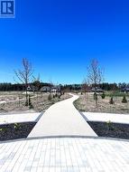 Walking Path to the North - 