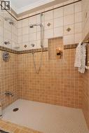 Tiled shower enclosure featuring a mosaic floor, built-in niche, and dual shower heads - 