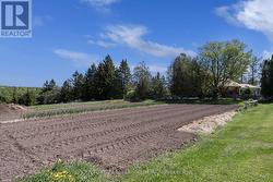 Veggie Garden - 