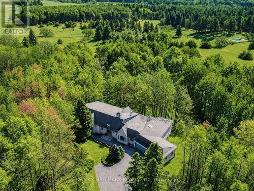 18381 MCCOWAN ROAD  East Gwillimbury, ON L0G 1M0