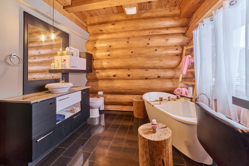 Bathroom - 472 Ch. Champigny, Larouche, QC - Indoor Photo Showing Bathroom