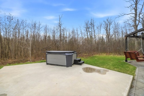 Spa - 472 Ch. Champigny, Larouche, QC - Outdoor