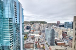 View - 