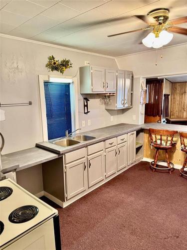 307 Elm Drive, Oak Lake Beach, MB - Indoor Photo Showing Kitchen With Double Sink
