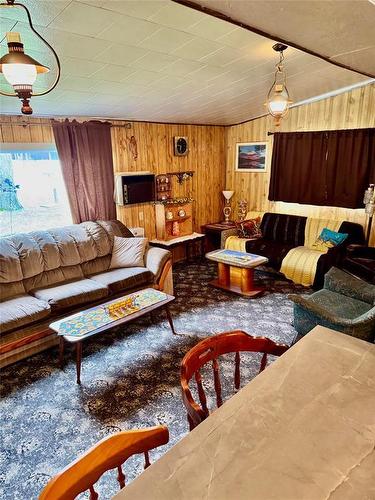 307 Elm Drive, Oak Lake Beach, MB - Indoor Photo Showing Living Room