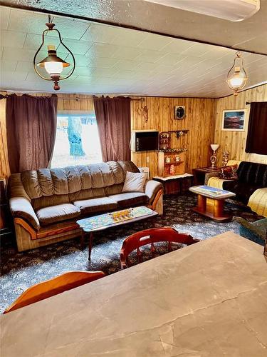 307 Elm Drive, Oak Lake Beach, MB - Indoor Photo Showing Living Room
