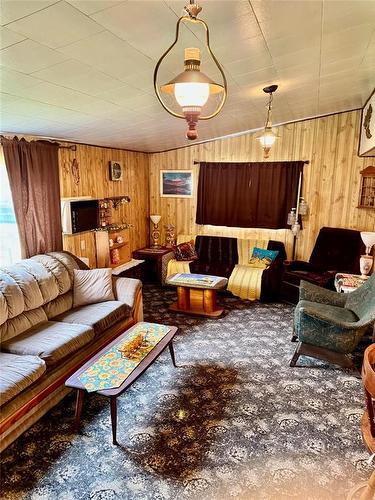 307 Elm Drive, Oak Lake Beach, MB - Indoor Photo Showing Living Room