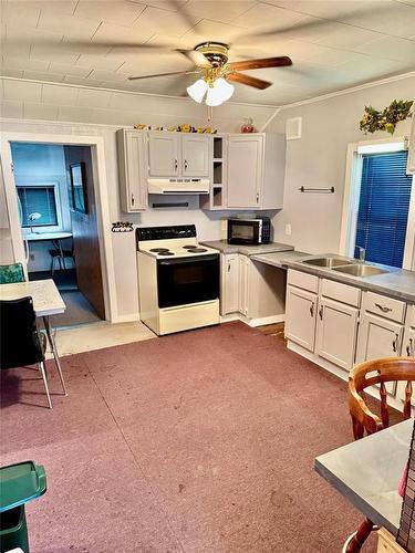 307 Elm Drive, Oak Lake Beach, MB - Indoor Photo Showing Kitchen With Double Sink
