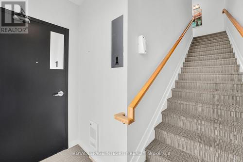 442 Sunnyside Avenue, Ottawa, ON - Indoor Photo Showing Other Room