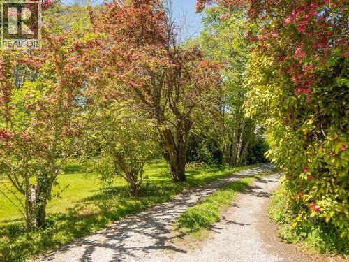 4215 Westview Ave, Powell River, BC - Outdoor