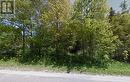 Lot 39 Tiny Beaches Road S, Tiny, ON 