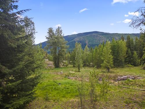 7046 Highway 3, Kitchener, BC - Outdoor With View