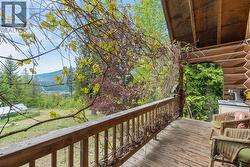 Charming veranda with grapevines - 