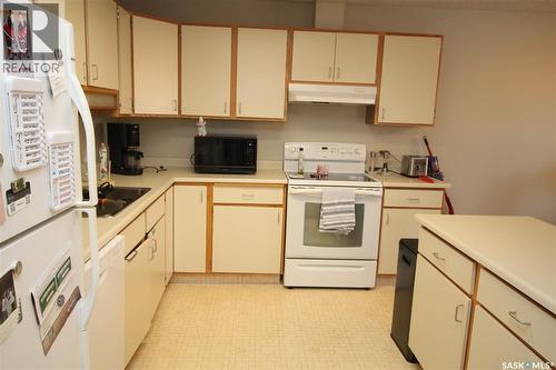 203 1008 Temperance Street, Saskatoon, SK - Indoor Photo Showing Kitchen