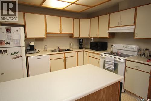 203 1008 Temperance Street, Saskatoon, SK - Indoor Photo Showing Kitchen With Double Sink