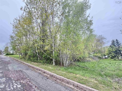 Lot Eighth Street, Trenton, NS 
