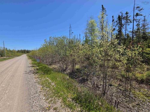 Joseph Macfarlane Drive, Whycocomagh Bay, NS 