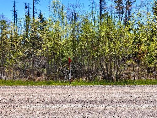 Joseph Macfarlane Drive, Whycocomagh Bay, NS 